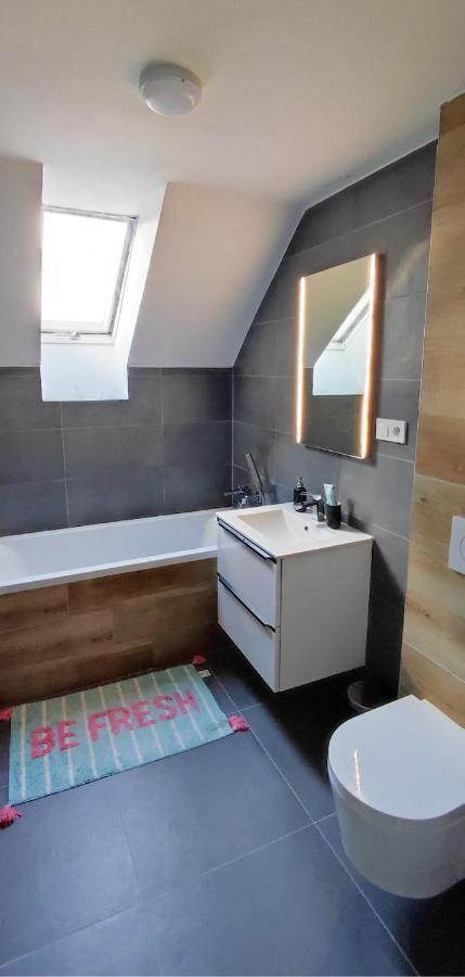 Appartamento Apartman Pod Jestedem Liberec Esterno foto